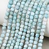 Natural Larimar Beads Strands G-F803-C01-01A-1
