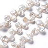 Natural Keshi Pearl Beads Strands PEAR-S021-236B-01-1