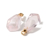 Transparent Resin Imitation Fruit Pendants FIND-E059-02A-2