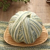 Wool Yarn PW-WG34186-02-1