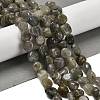 Natural Labradorite Beads Strands G-P497-01E-47-2