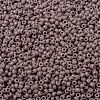 MIYUKI Round Rocailles Beads SEED-X0055-RR0410-3