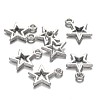 CCB Plastic Star Charms CCB-N001-05-2