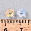 Frosted Transparent Acrylic Beads LS-X-OACR-N137-72F-4
