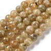 Natural Yellow Garnet Beads Strands G-Z129-C01-6mm-01-2