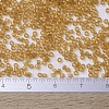MIYUKI Delica Beads SEED-JP0008-DB0119-2