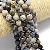 Natural Dendritic Opal Beads Strands G-R494-A23-04A-1