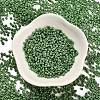 TOHO Round Seed Beads SEED-XCP0001-26-2