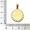 Virgin Mary Theme 304 Stainless Steel Pendants STAS-F336-05B-G-3