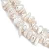 Electroplated Shell Pearl Beads Strands BSHE-H113-01A-3
