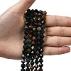Natural Bloodstone/Heliotrope Beads Strands G-Z119-A16-02-2