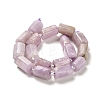 Natural Kunzite Beads Strands G-N327-06-36-3