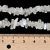 Natural Rainbow Moonstone Chip Beads Strands G-C195-01-5