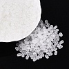 FGB Frosted Transparent Glass Seed Beads SEED-N013-06A-01-1