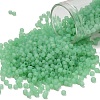 TOHO 8/0 Round Beads SEED-XTR08-0144F-1