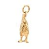 Brass Pendants KK-CBA855A-01G-10-2