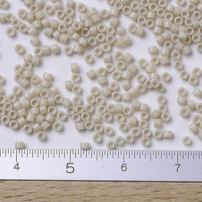 MIYUKI Delica Beads SEED-X0054-DB0261-1