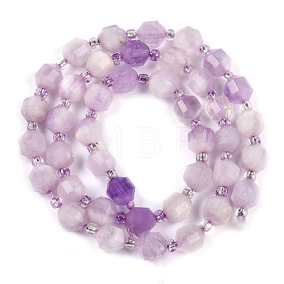 Natural Lepidolite Beads Strands G-O201B-108E-1