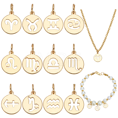 12Pcs 12 Styles Flat Round with Twelve Constellations Brass Charms PALLOY-WR00028-1