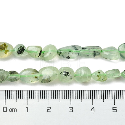 Natural Prehnite Beads Strands G-Z034-D09-01-1