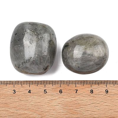 Natural Labradorite Beads G-G348-01B-10-1