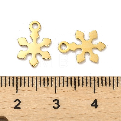304 Stainless Steel Charms STAS-L022-118G-1