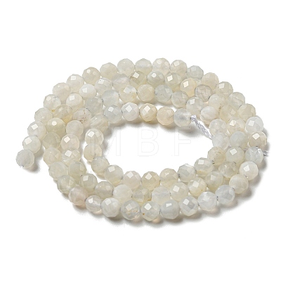 Natural Moonstone Beads Strands G-F736-01-AB-1