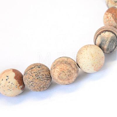 Frosted Natural Picture Jasper Round Bead Strands G-E334-8mm-26-1