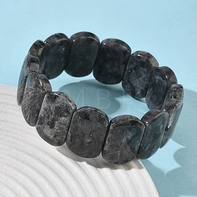 Natural Labradorite Beads Stretch Bracelets for Women Men BJEW-I323-02K-1