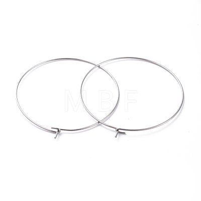 316 Surgical Stainless Steel Hoop Earring Findings STAS-J025-01F-P-1