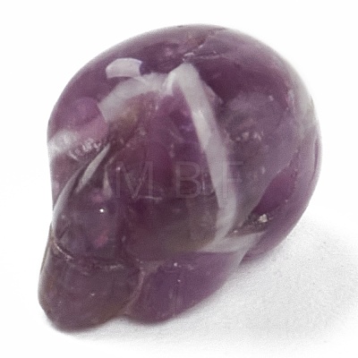 Natural Amethyst Quartz Beads G-B003-06-1