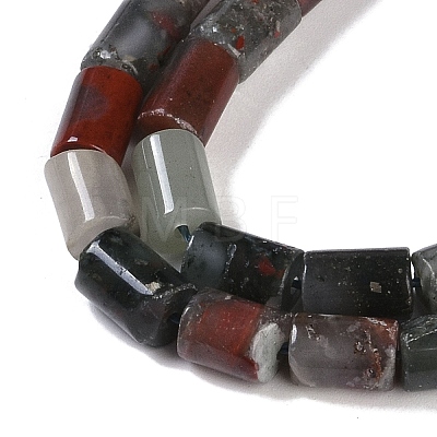 Natural African Bloodstone Beads Strands G-C128-A15-01-1