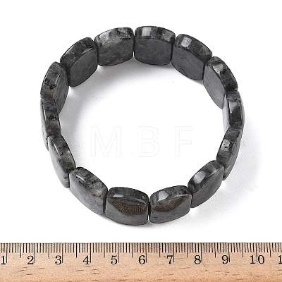 Natural Labradorite Beads Stretch Bracelets for Women Men BJEW-I323-02K-1