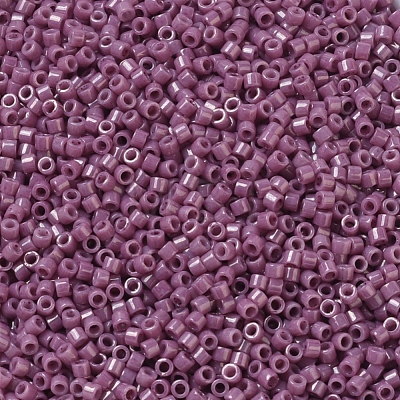 MIYUKI Delica Beads Small X-SEED-J020-DBS0265-1