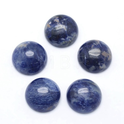 Natural Sodalite Cabochons G-P393-R45-14.5mm-1