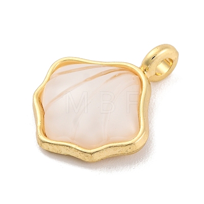 Alloy Resin Pendants FIND-U007-13G-1