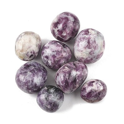 Natural Lepidolite Beads G-G348-01B-18-1