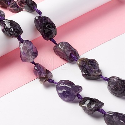 Natural Amethyst Beads Strands G-B024-14-1