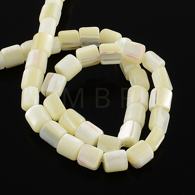 Column Natural White Shell Beads Strands BSHE-Q025-01-1