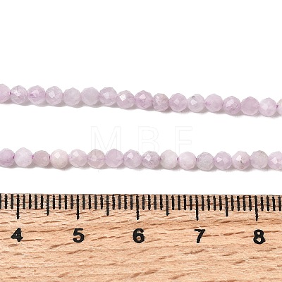 Natural Kunzite Beads Strands G-G343-B04-3mm-1