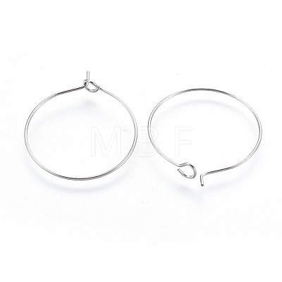 316 Surgical Stainless Steel Hoop Earring Findings STAS-P221-01A-P-1