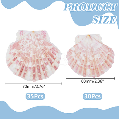 2 Styles Natural Shell SSHEL-WR0001-06B-1