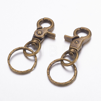 Iron Swivel Clasps with Key Rings HJEW-H017-AB-1