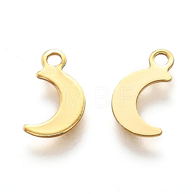 201 Stainless Steel Charms STAS-B001-11G-1