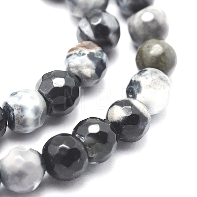 Faceted Natural Fire Crackle Agate Beads Strands G-F447-8mm-B06-1