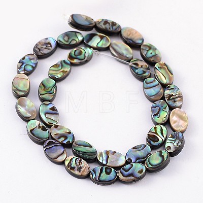 Natural Abalone Shell/Paua Shell Beads Strands SSHEL-G003-8-6x10mm-1