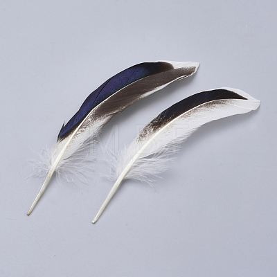 Feather Costume Accessories X-FIND-Q046-15F-1