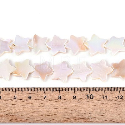 Natural Freshwater Shell Beads Strands SSHEL-N040-18-1