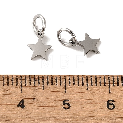 Non-Tarnish 201 Stainless Steel Charms STAS-E217-25A-P-1