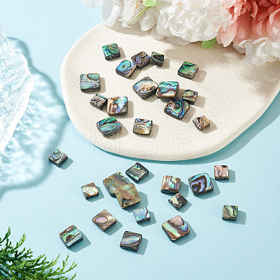 30Pcs 3 Styles Natural Paua Shell Beads BSHE-TA0001-37-1